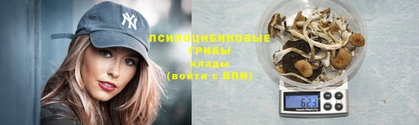 mdma Няндома