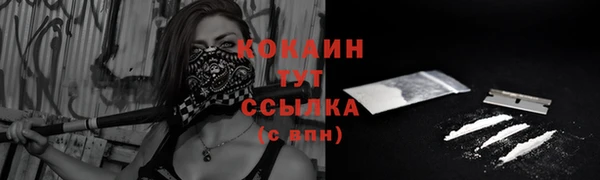 mdma Няндома