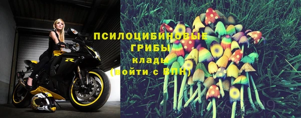 mdma Няндома