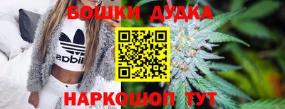 PSILOCYBIN Гатчина