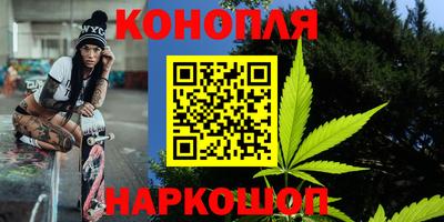 PSILOCYBIN Гатчина