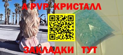 PSILOCYBIN Гатчина