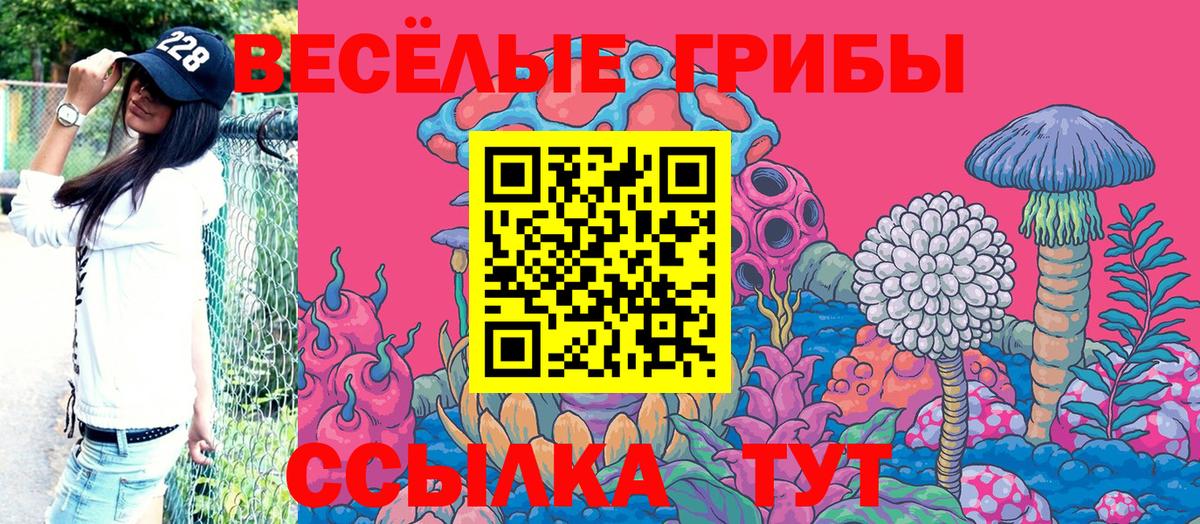 Псилоцибиновые грибы прущие грибы Соликамск