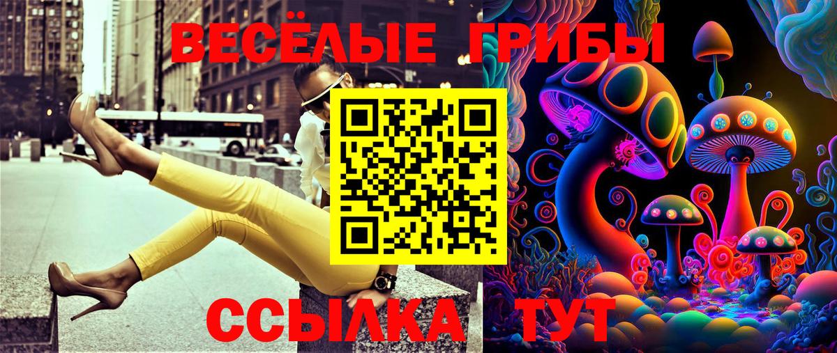 Галлюциногенные грибы GOLDEN TEACHER Соликамск