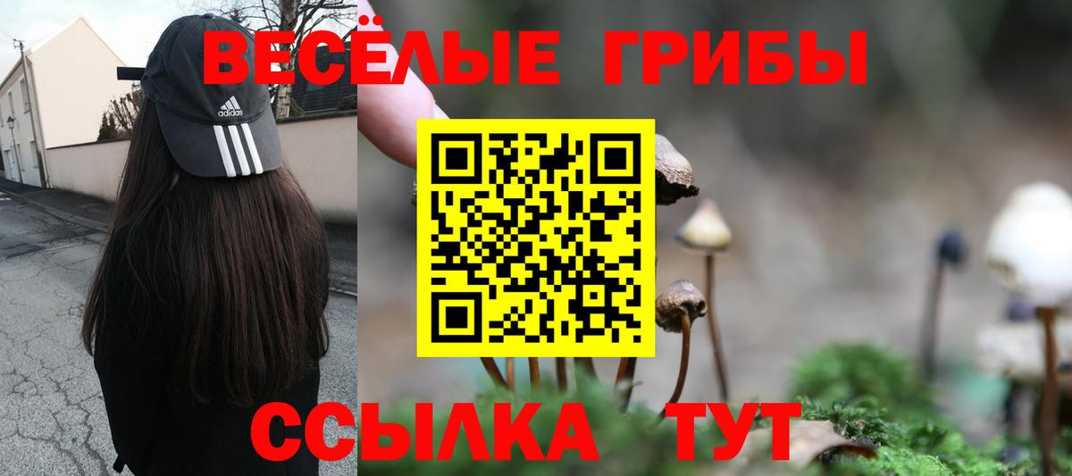 Галлюциногенные грибы Psilocybine cubensis  Вход с VPN  цены наркотик  Соликамск 